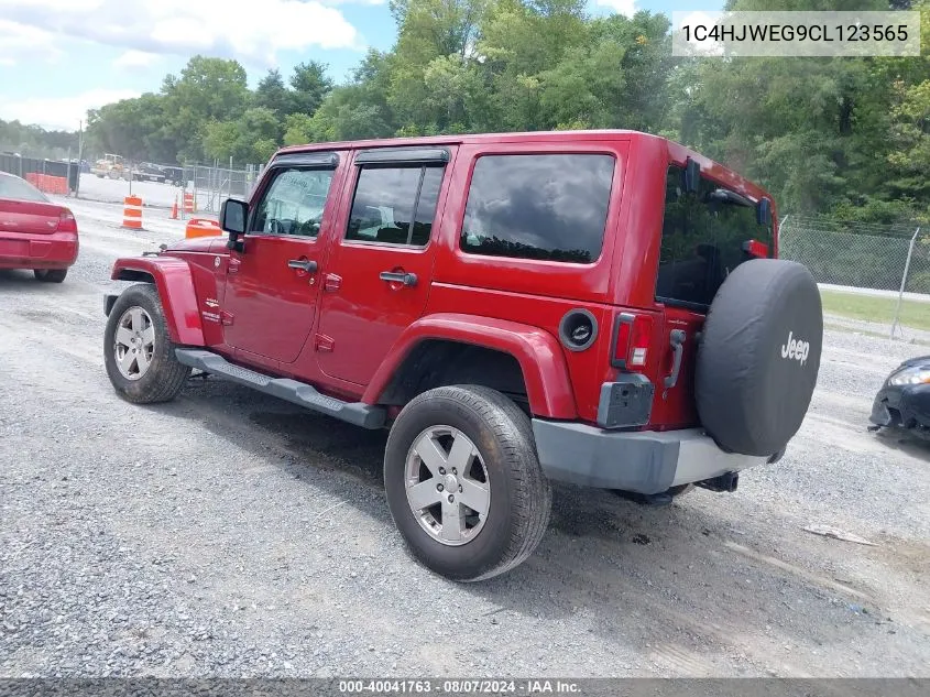 2012 Jeep Wrangler Unlimited Sahara VIN: 1C4HJWEG9CL123565 Lot: 40041763