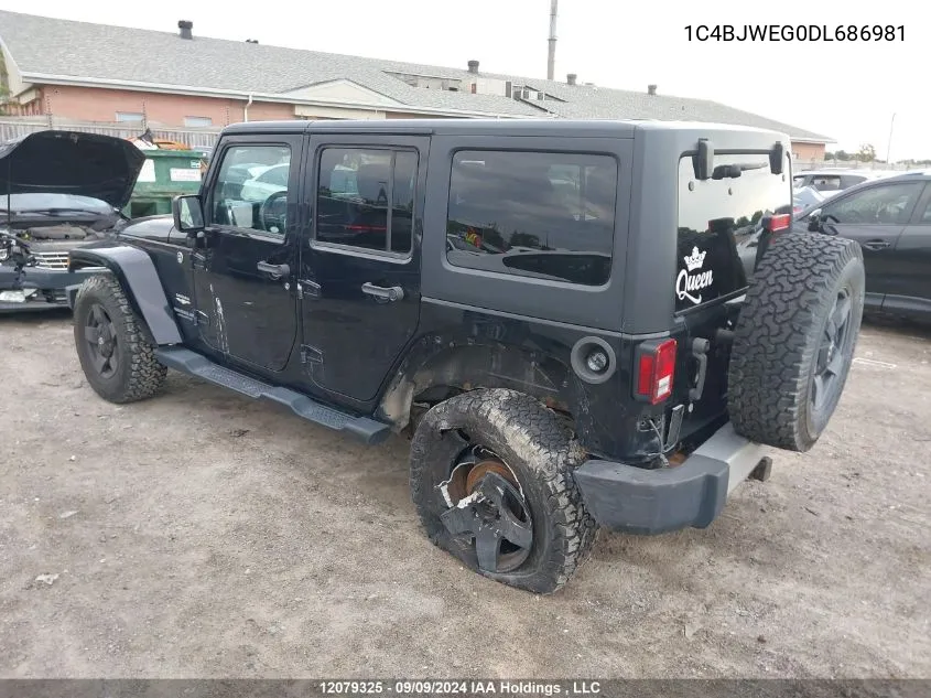 2013 Jeep Tj VIN: 1C4BJWEG0DL686981 Lot: 12079325