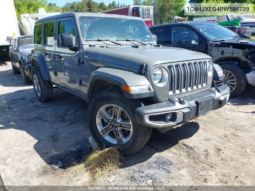 2023 Jeep Wrangler Sahara VIN: 1C4HJXEG4PW586739 Lot: 12016872