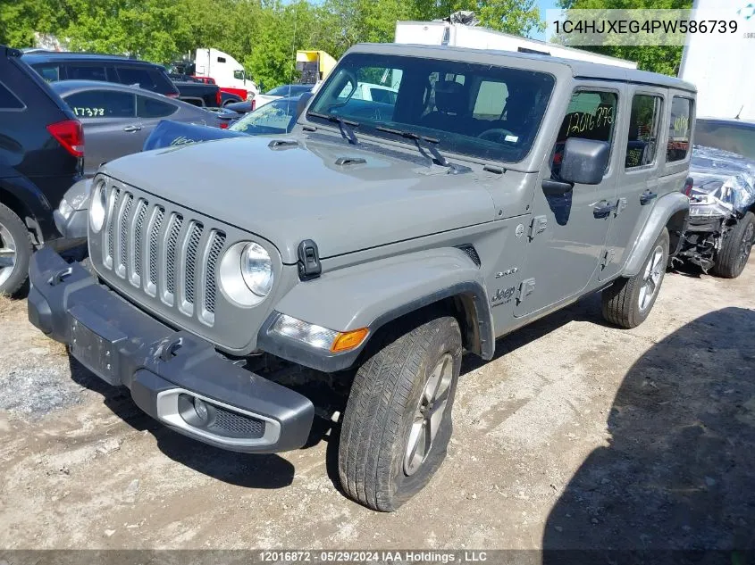 2023 Jeep Wrangler Sahara VIN: 1C4HJXEG4PW586739 Lot: 12016872