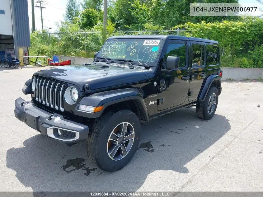 2023 Jeep Wrangler Sahara VIN: 1C4HJXEN3PW606977 Lot: 12039884