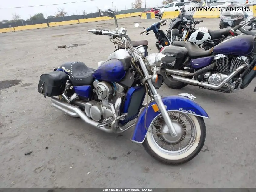JKBVNAC13TA042443 1996 Kawasaki Vn1500 C