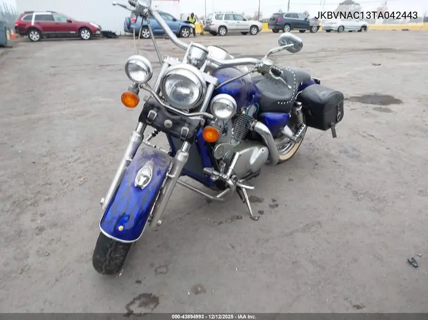 JKBVNAC13TA042443 1996 Kawasaki Vn1500 C