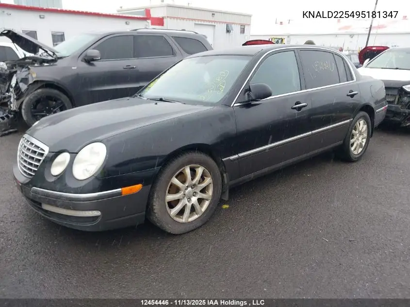 KNALD225495181347 2009 Kia Amanti Luxury