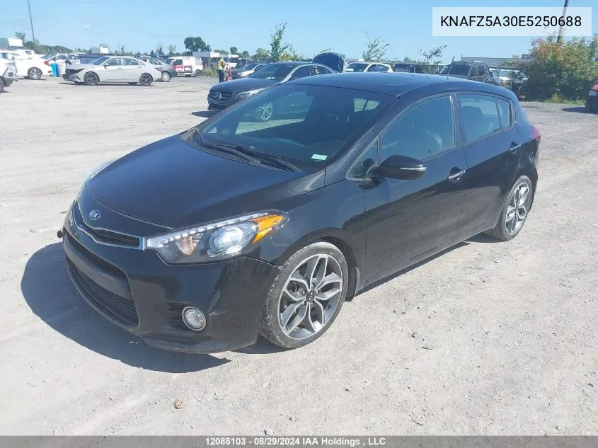 2014 Kia Forte 5-Door VIN: KNAFZ5A30E5250688 Lot: 12085103