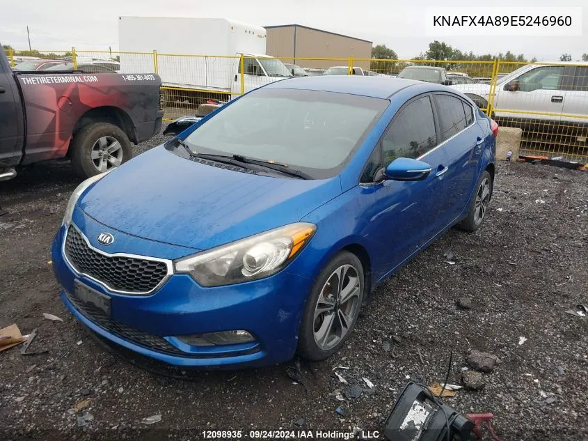 2014 Kia Forte VIN: KNAFX4A89E5246960 Lot: 12098935