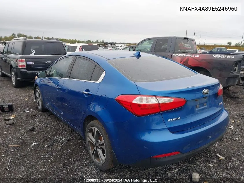 2014 Kia Forte VIN: KNAFX4A89E5246960 Lot: 12098935