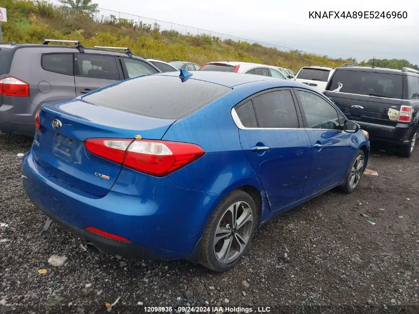 2014 Kia Forte VIN: KNAFX4A89E5246960 Lot: 12098935