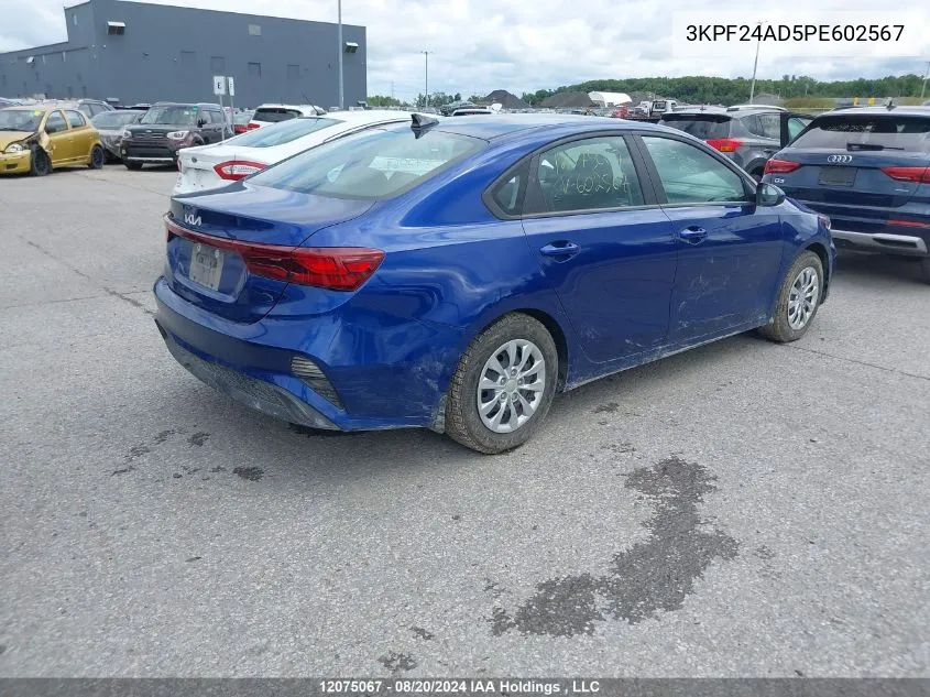 2023 Kia Forte VIN: 3KPF24AD5PE602567 Lot: 12075067