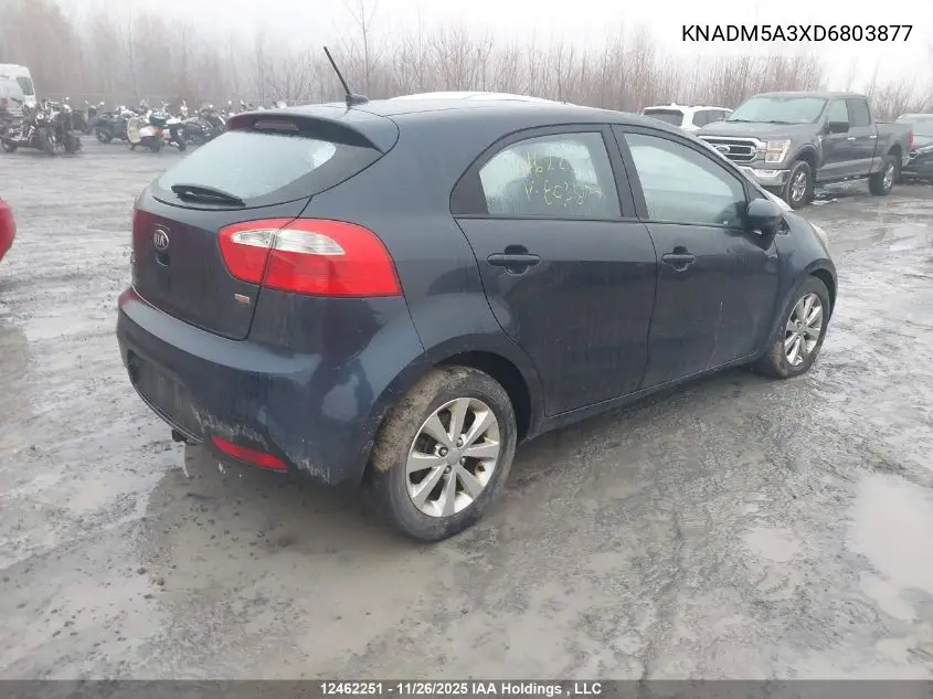 KNADM5A3XD6803877 2013 Kia Rio Lx