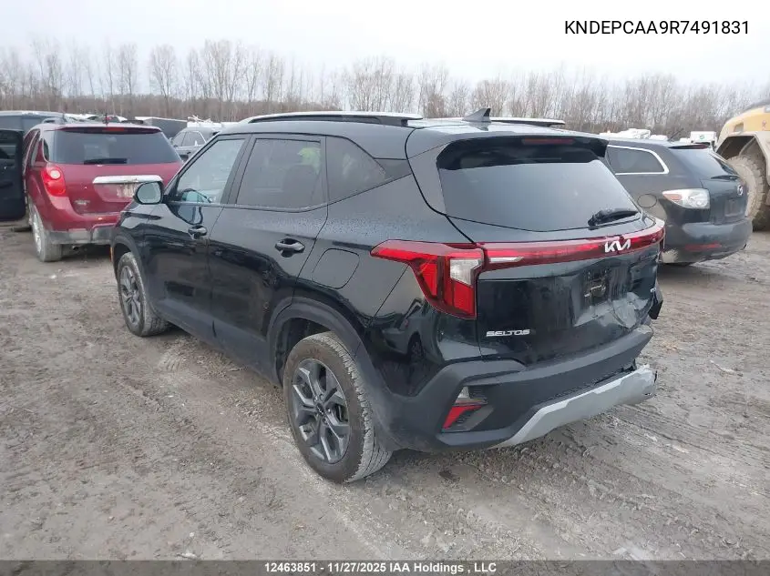 KNDEPCAA9R7491831 2024 Kia Seltos