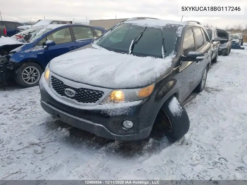 5XYKUCA18BG117246 2011 Kia Sorento Ex
