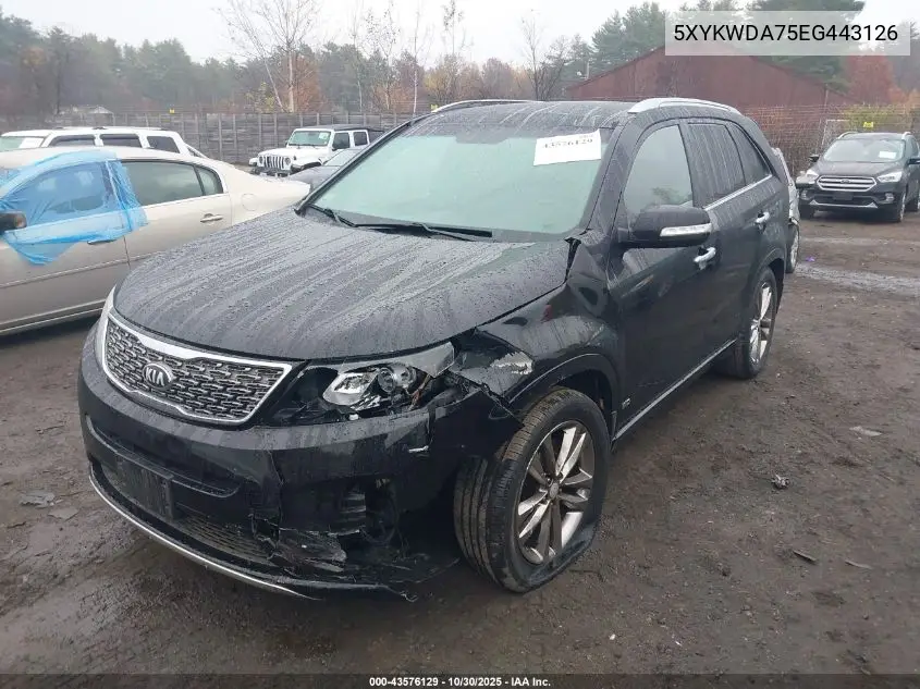 5XYKWDA75EG443126 2014 Kia Sorento Limited V6
