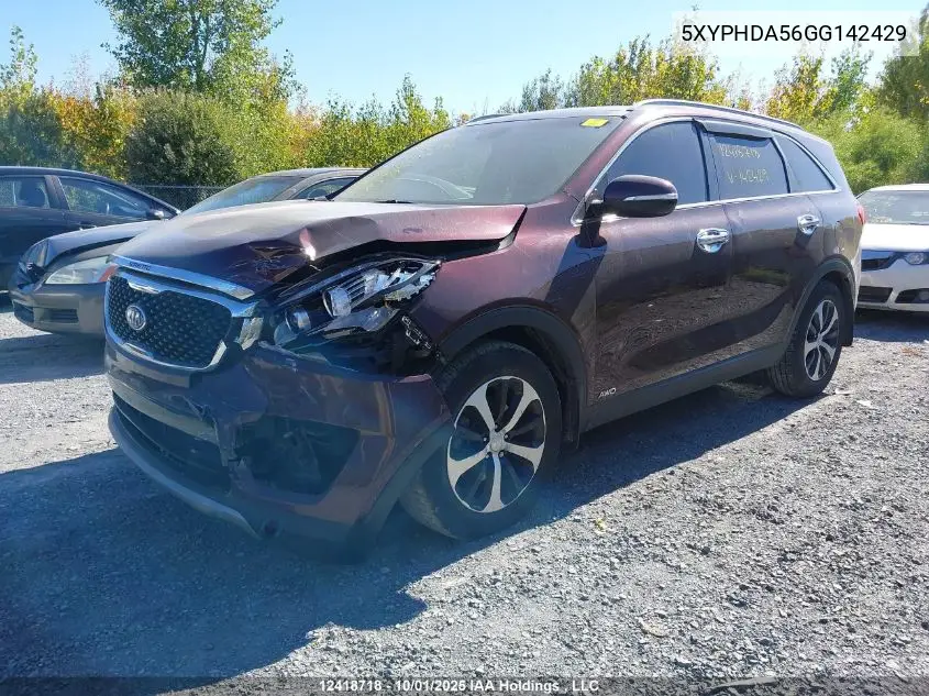 5XYPHDA56GG142429 2016 Kia Sorento