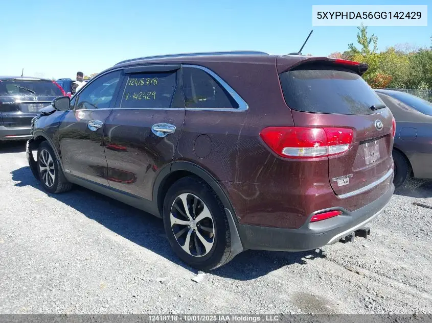 5XYPHDA56GG142429 2016 Kia Sorento