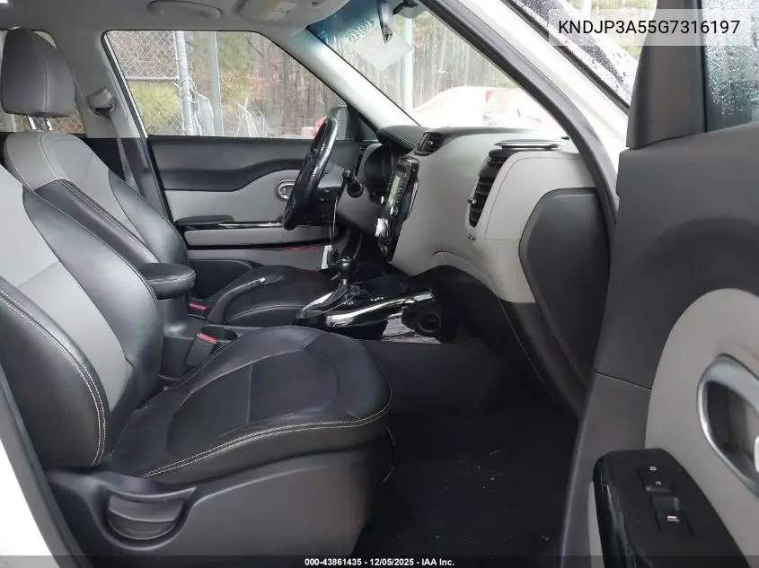 KNDJP3A55G7316197 2016 Kia Soul +