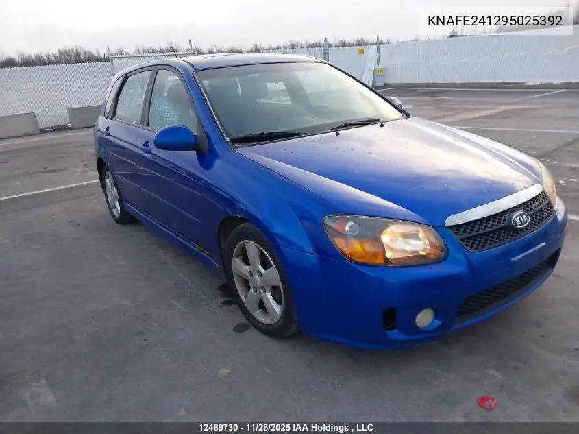 KNAFE241295025392 2009 Kia Spectra Sx