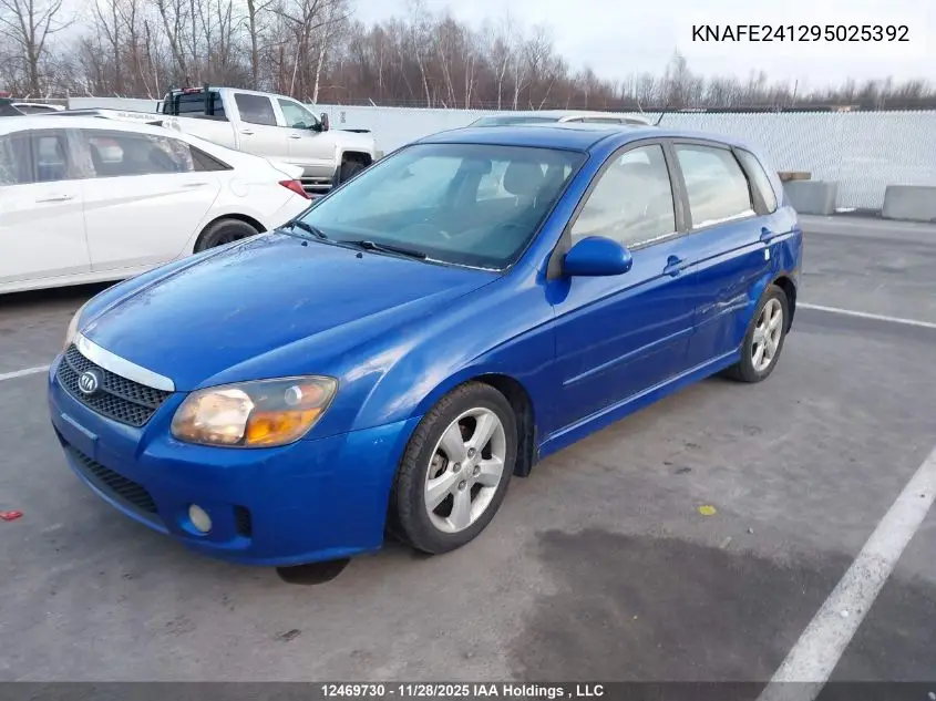 KNAFE241295025392 2009 Kia Spectra Sx