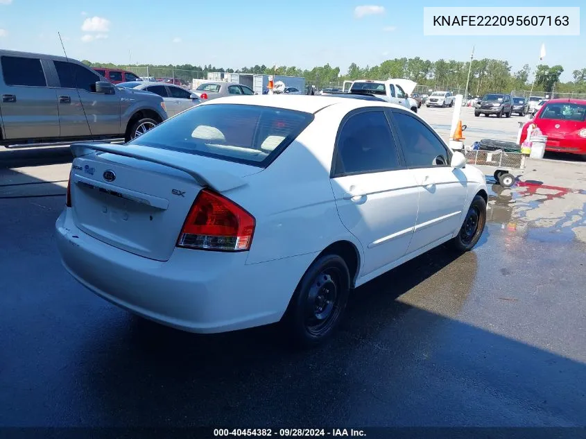 KNAFE222095607163 2009 Kia Spectra Ex