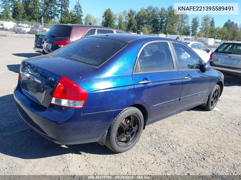 KNAFE221395589491 2009 Kia Spectra Ex