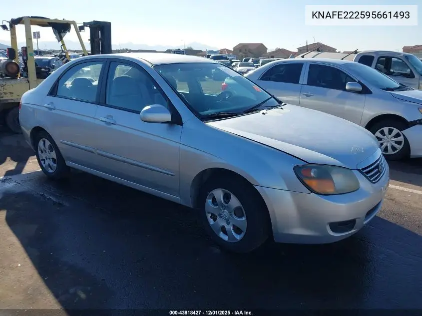 KNAFE222595661493 2009 Kia Spectra Ex