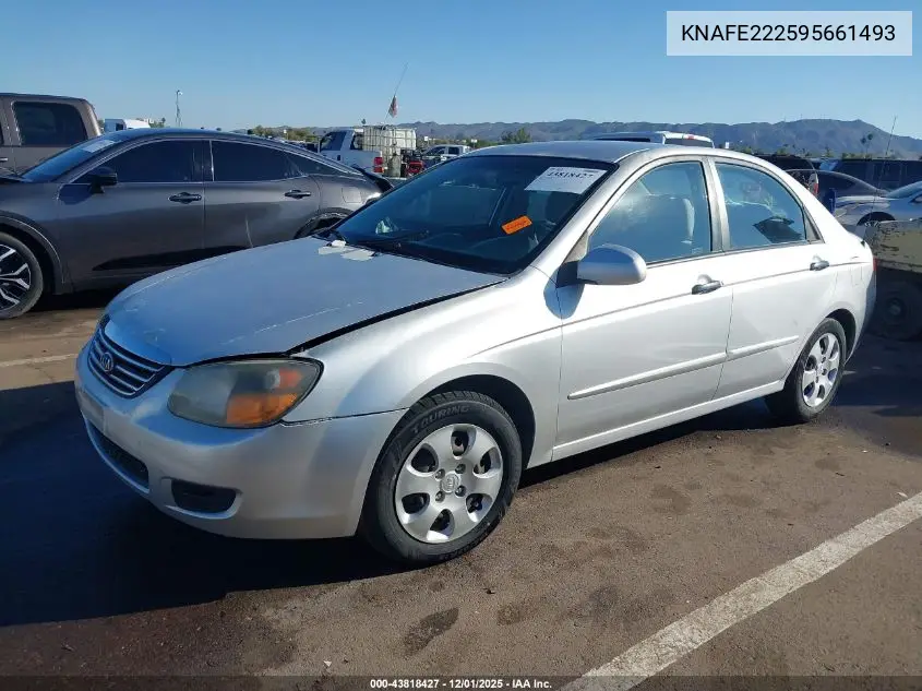 KNAFE222595661493 2009 Kia Spectra Ex