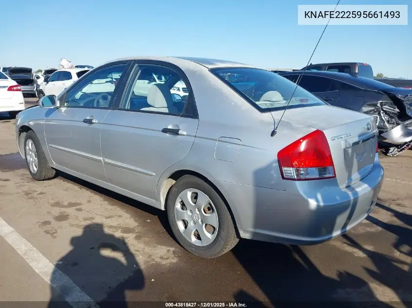KNAFE222595661493 2009 Kia Spectra Ex