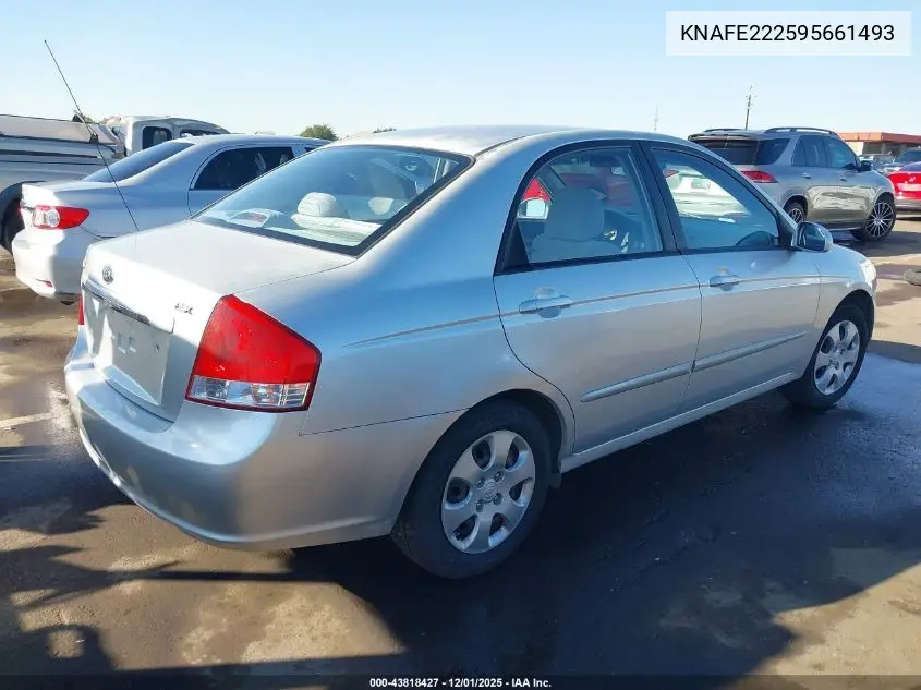 KNAFE222595661493 2009 Kia Spectra Ex