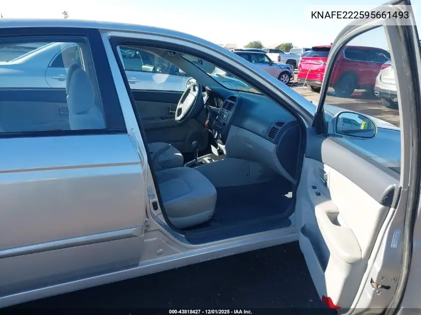 KNAFE222595661493 2009 Kia Spectra Ex
