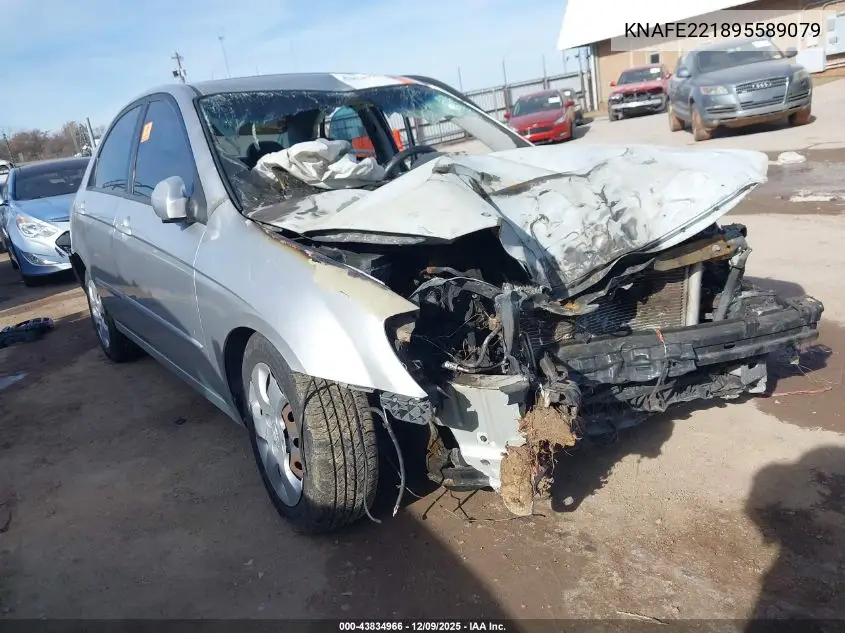 KNAFE221895589079 2009 Kia Spectra Ex