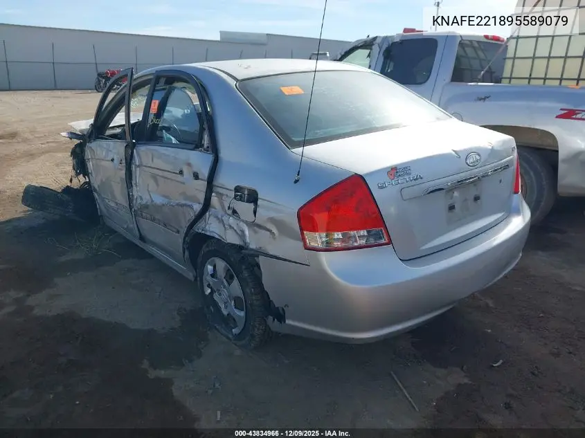 KNAFE221895589079 2009 Kia Spectra Ex
