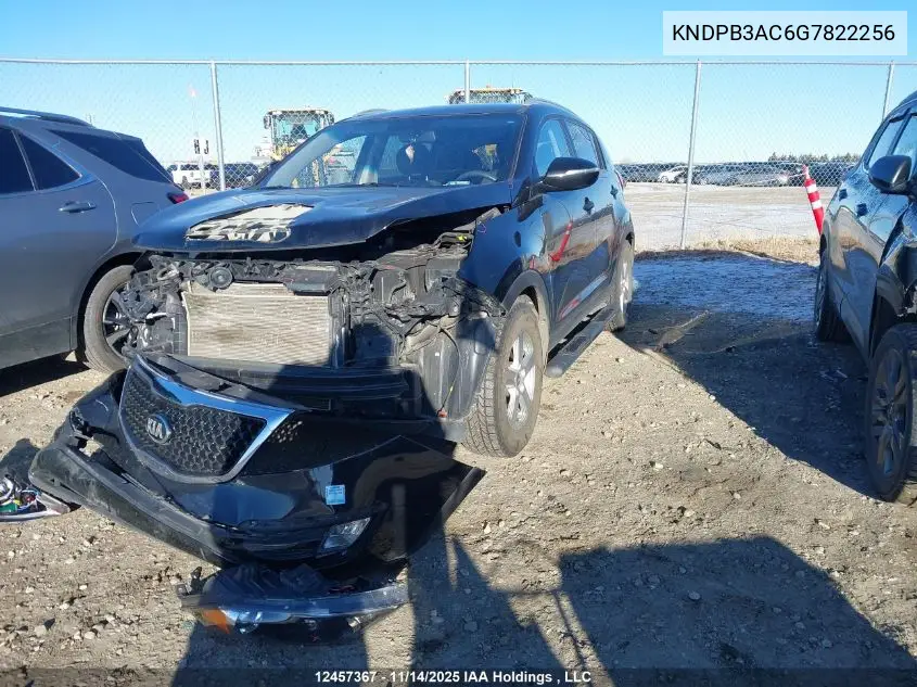 KNDPB3AC6G7822256 2016 Kia Sportage Lx