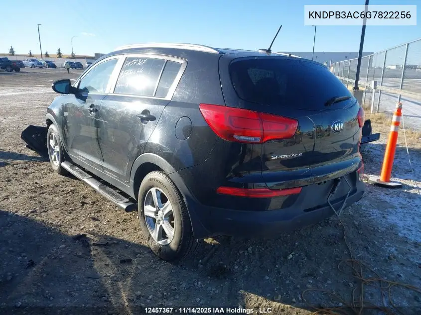 KNDPB3AC6G7822256 2016 Kia Sportage Lx