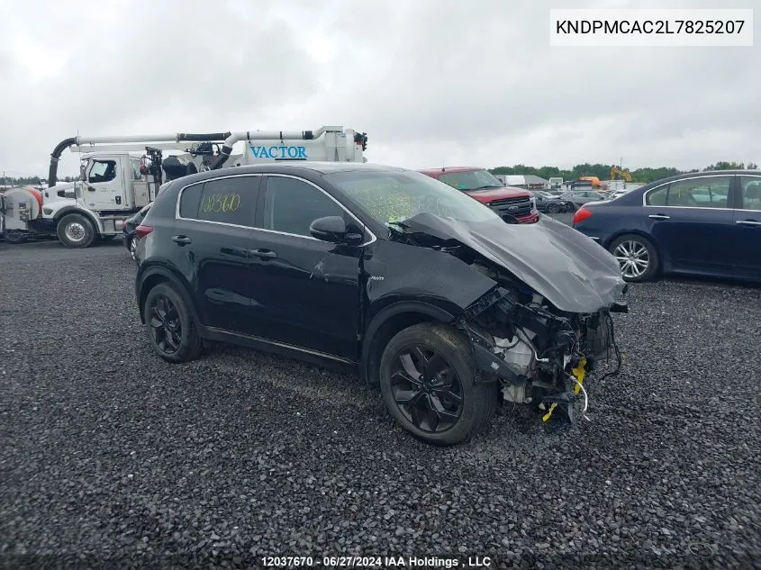 2020 Kia Sportage VIN: KNDPMCAC2L7825207 Lot: 12037670