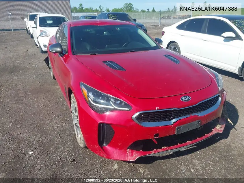 2019 Kia Stinger Gt-Line VIN: KNAE25LA1K6047388 Lot: 12600592