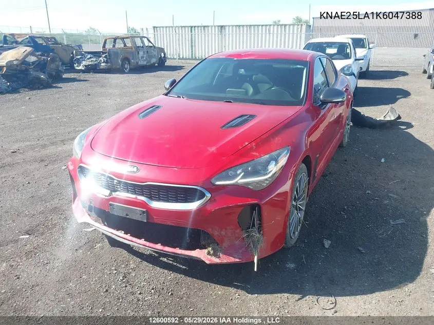 2019 Kia Stinger Gt-Line VIN: KNAE25LA1K6047388 Lot: 12600592
