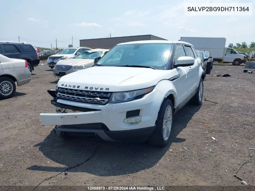 2013 Land Rover Range Rover Evoque VIN: SALVP2BG9DH711364 Lot: 12055973