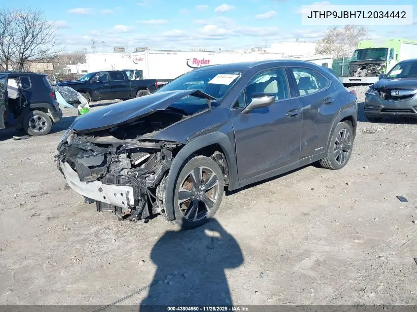 JTHP9JBH7L2034442 2020 Lexus Ux 250H