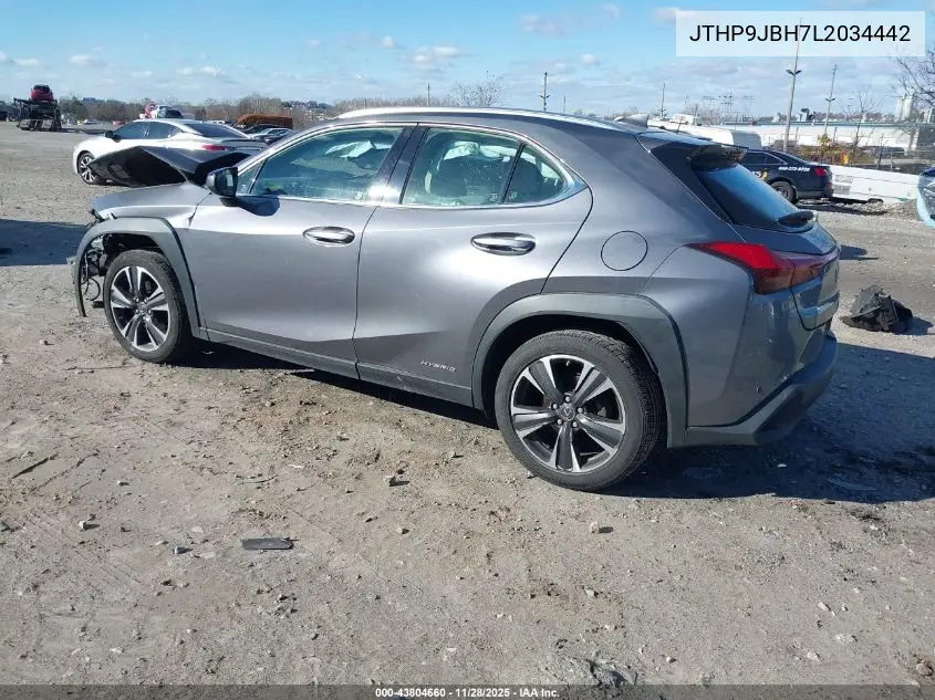 JTHP9JBH7L2034442 2020 Lexus Ux 250H
