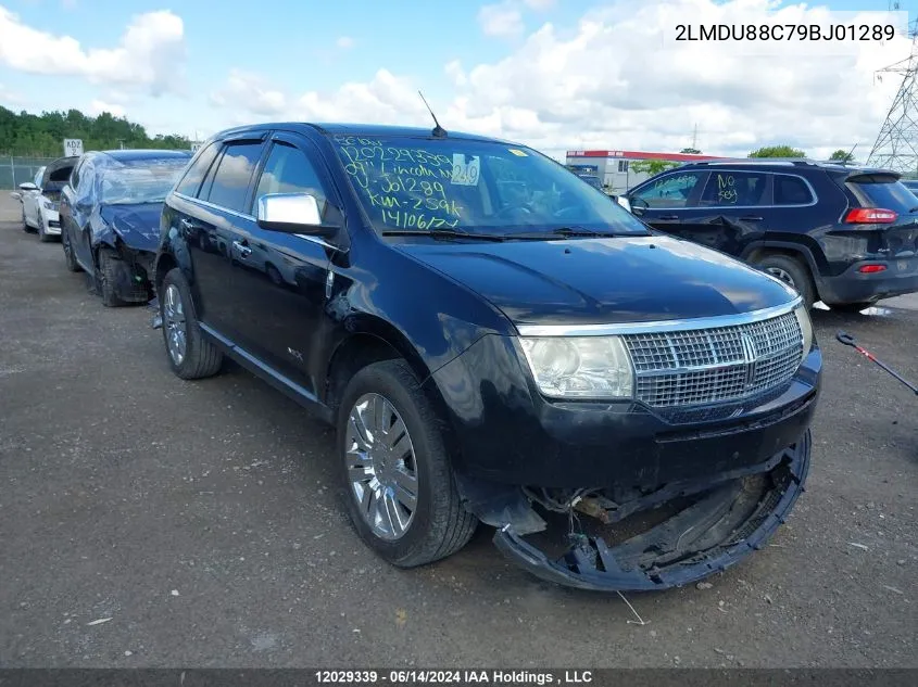 2009 Lincoln Mkx VIN: 2LMDU88C79BJ01289 Lot: 12029339