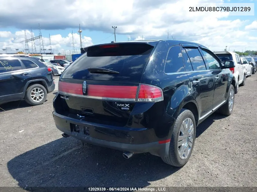 2009 Lincoln Mkx VIN: 2LMDU88C79BJ01289 Lot: 12029339