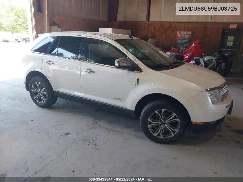 2009 Lincoln Mkx VIN: 2LMDU68C59BJ03725 Lot: 39492641