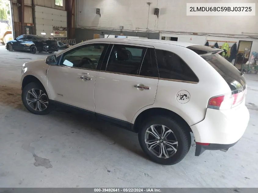 2LMDU68C59BJ03725 2009 Lincoln Mkx