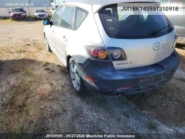 2005 Mazda 3 Mazda Sport Gt VIN: JM1BK143551310918 Lot: 20169599