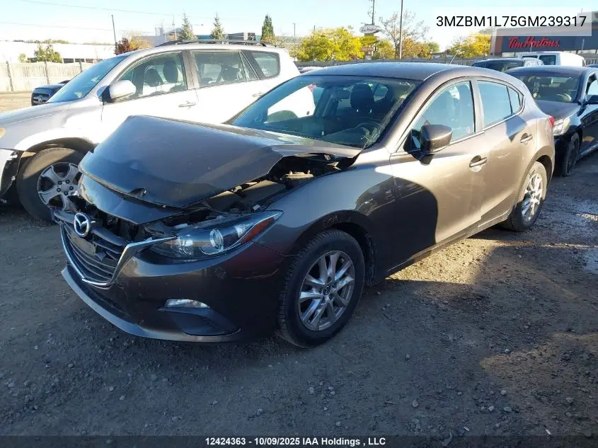 3MZBM1L75GM239317 2016 Mazda Mazda3 Gs
