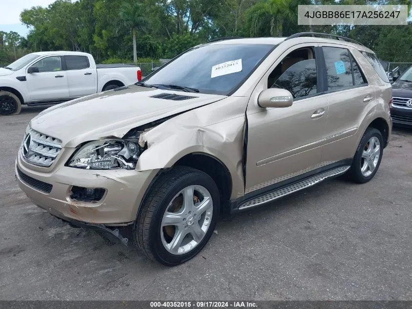 4JGBB86E17A256247 2007 Mercedes-Benz Ml 350 4Matic