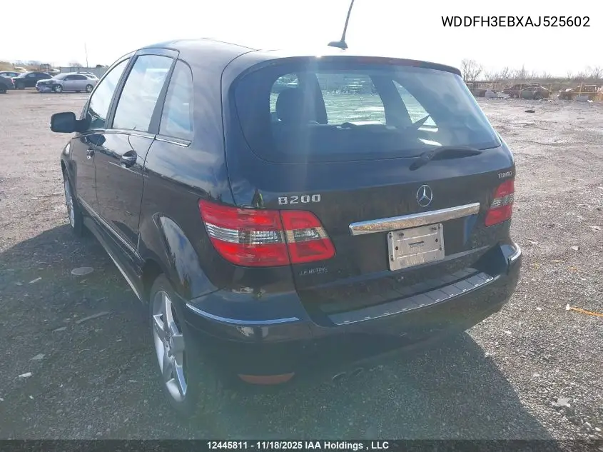 WDDFH3EBXAJ525602 2010 Mercedes-Benz B