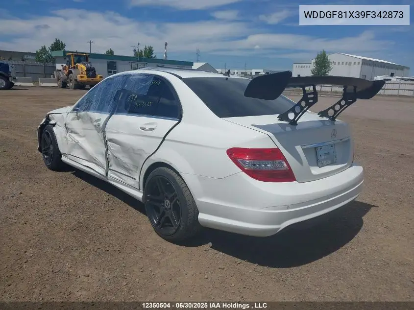 WDDGF81X39F342873 2009 Mercedes-Benz C 300 4Matic