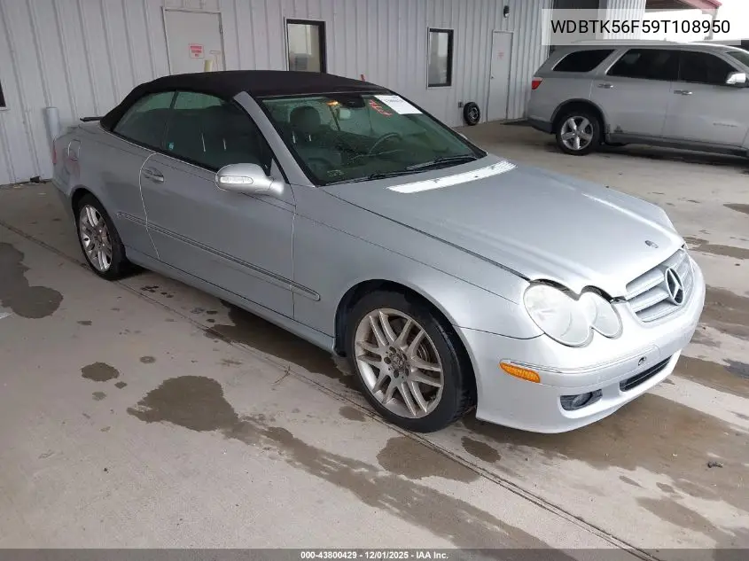 WDBTK56F59T108950 2009 Mercedes-Benz Clk 350