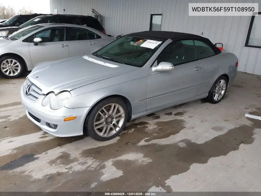 WDBTK56F59T108950 2009 Mercedes-Benz Clk 350